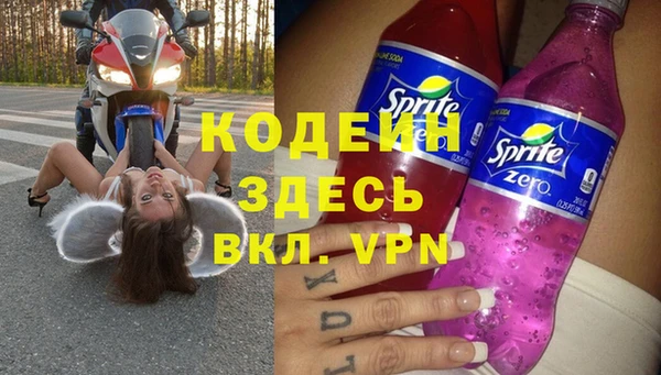 прущие грибы Нягань