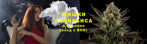 прущие грибы Нягань