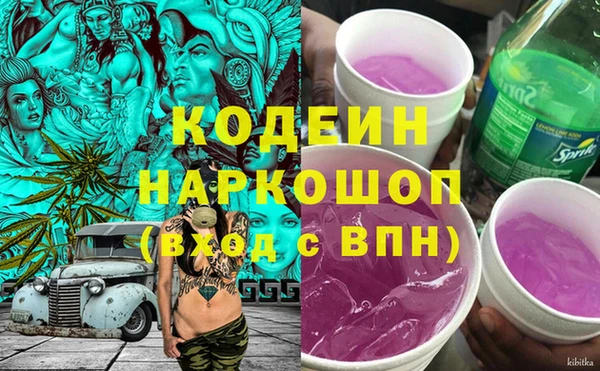 дживик Няндома