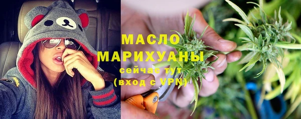 дживик Няндома