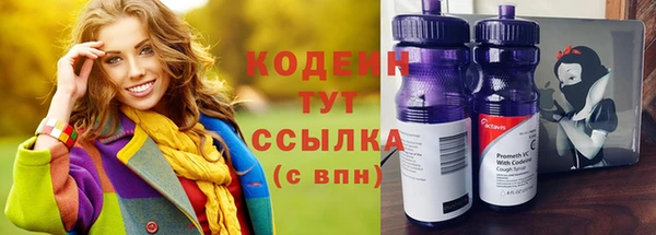 дживик Няндома