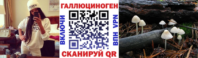 Псилоцибиновые грибы Cubensis  Полевской 