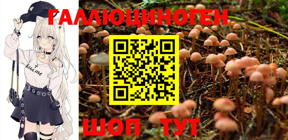 Полевской  Псилоцибиновые грибы MAGIC MUSHROOMS  Псилоцибиновые грибы Magic Shrooms  Вход с VPN 