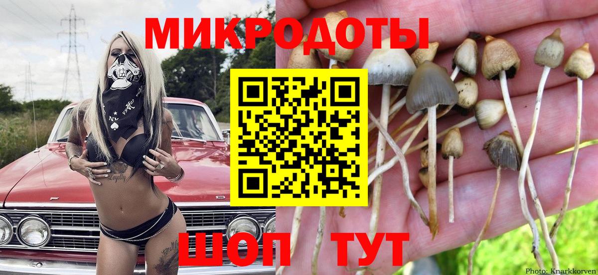 Галлюциногенные грибы мухоморы  Полевской  Псилоцибиновые грибы ЛСД 