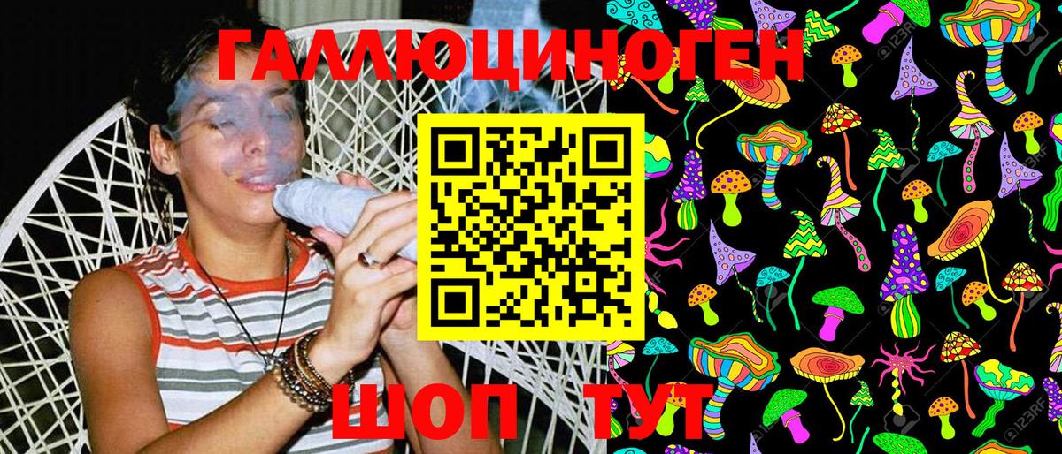 Псилоцибиновые грибы Cubensis Полевской